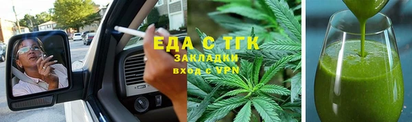 крисы Абаза