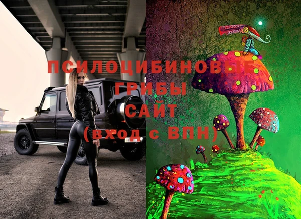 ПСИЛОЦИБИНОВЫЕ ГРИБЫ Алзамай